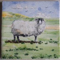 Sheep tile
